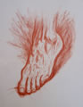 Michael Hensley Drawings, Human Feet 7